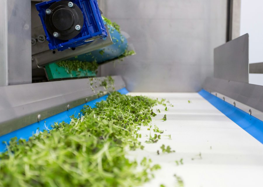 Lebensmittelproduktion